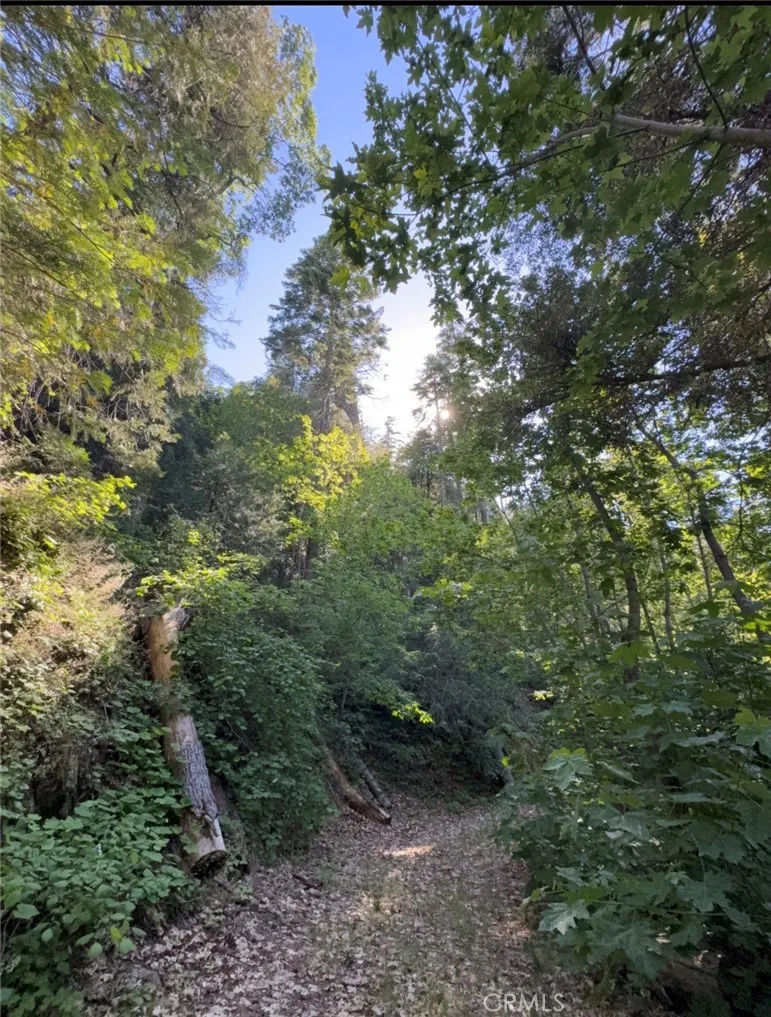 CA-245 Miramonte, CA 93641