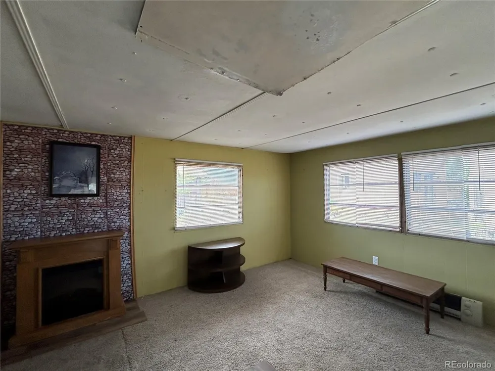 319 Palisade Court Crestone, CO 81131