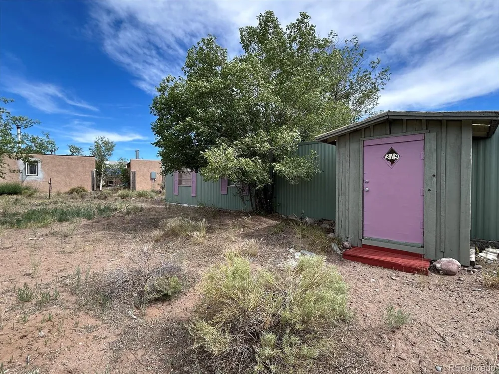 319 Palisade Court Crestone, CO 81131