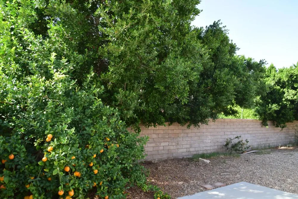 27160 Shadowcrest Lane Cathedral City, CA 92234
