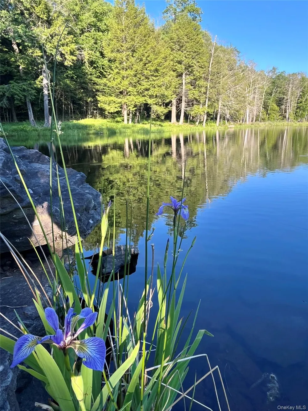 4 Cold Creek Pass Parksville, NY 12768