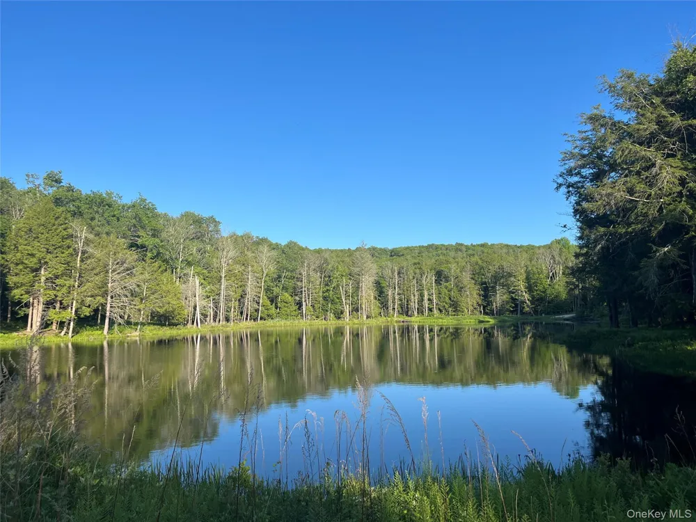 4 Cold Creek Pass Parksville, NY 12768