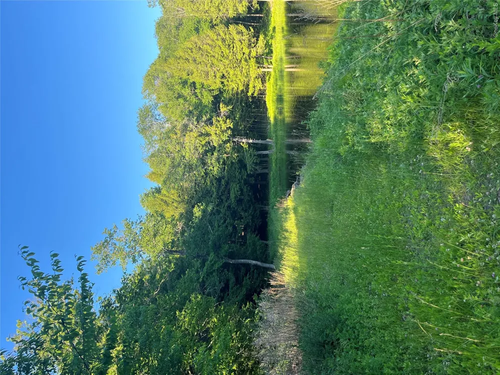 4 Cold Creek Pass Parksville, NY 12768