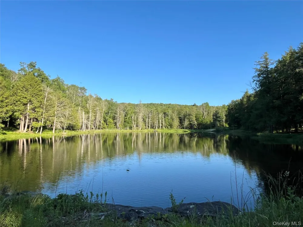 4 Cold Creek Pass Parksville, NY 12768