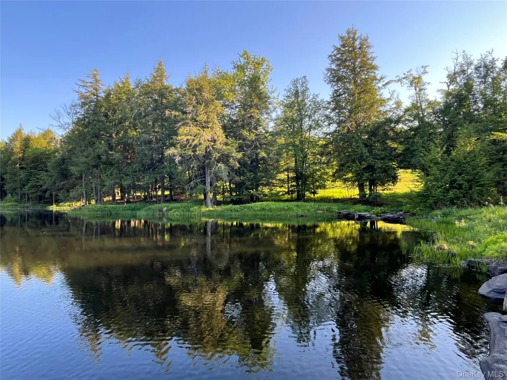 4 Cold Creek Pass Parksville, NY 12768