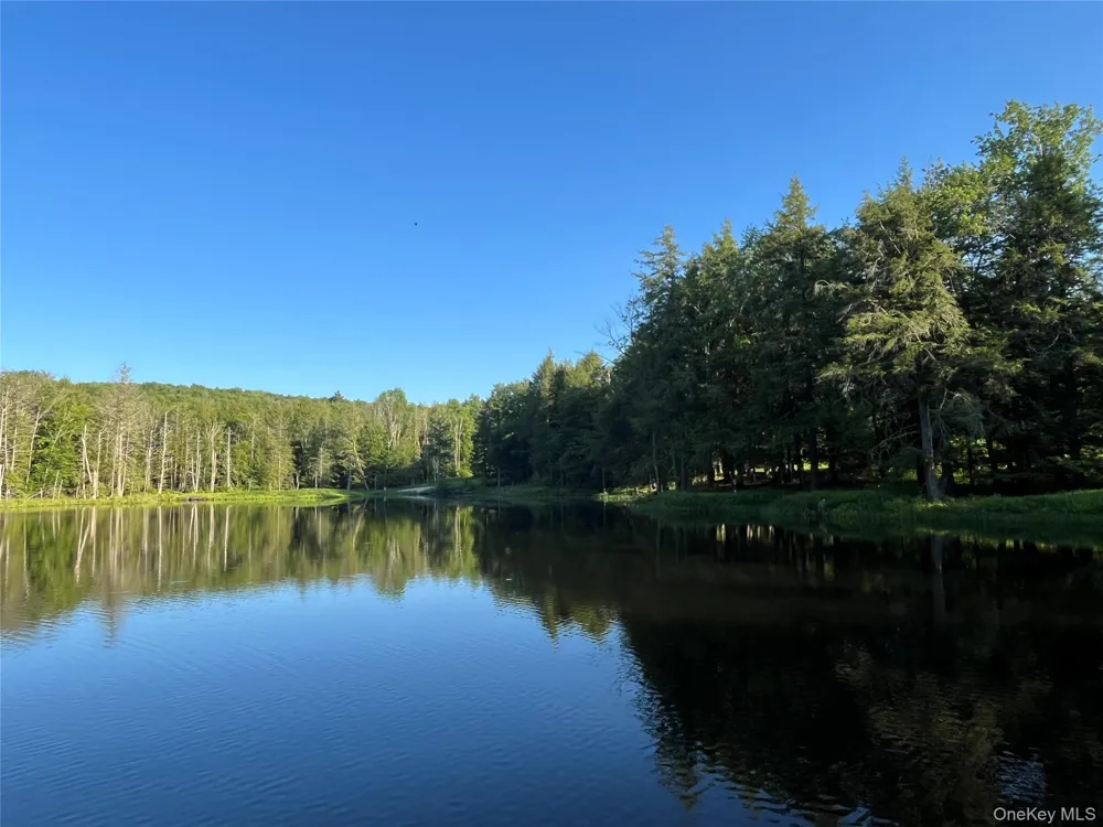 4 Cold Creek Pass Parksville, NY 12768