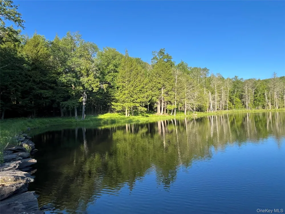 4 Cold Creek Pass Parksville, NY 12768