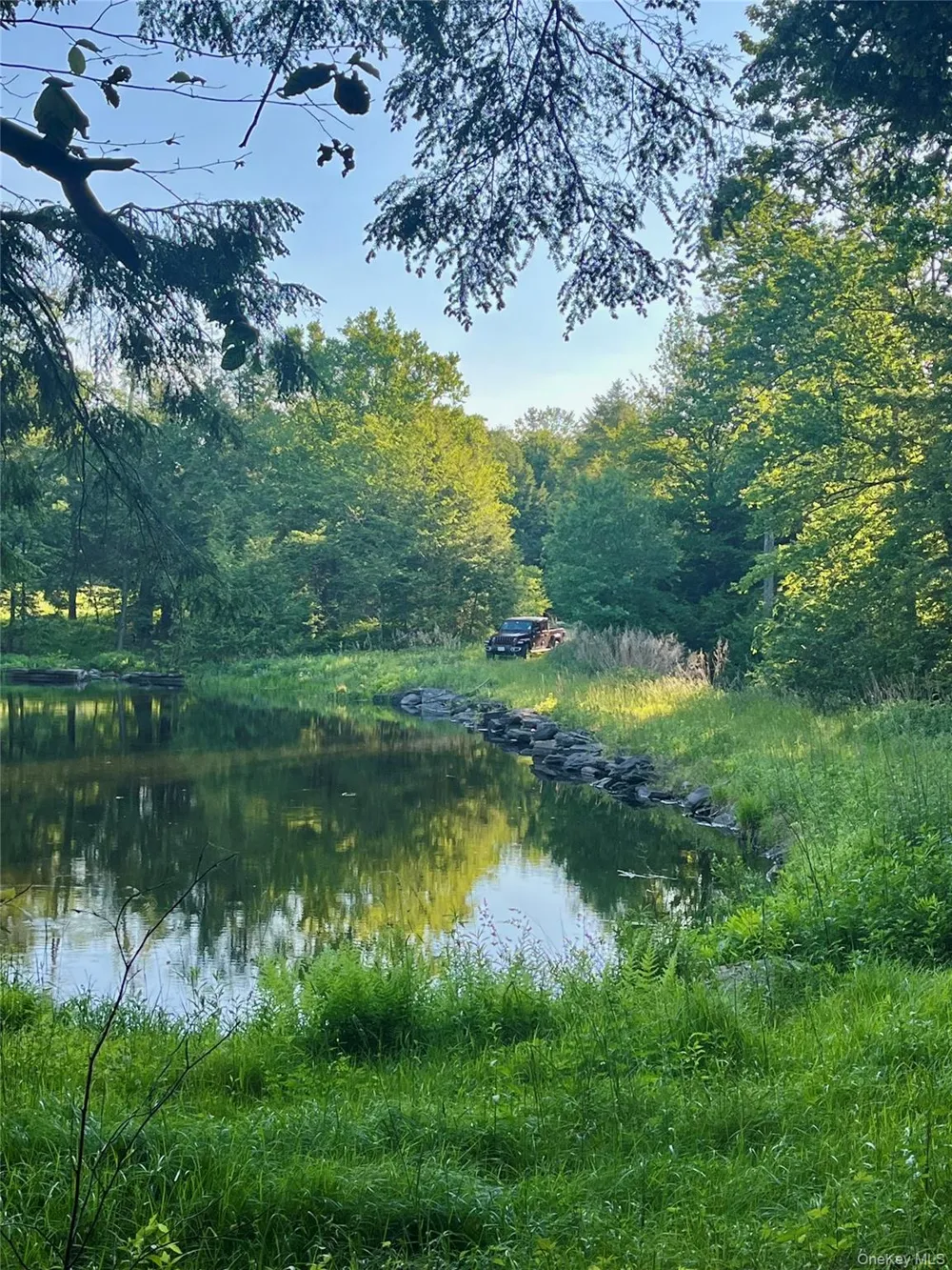 4 Cold Creek Pass Parksville, NY 12768