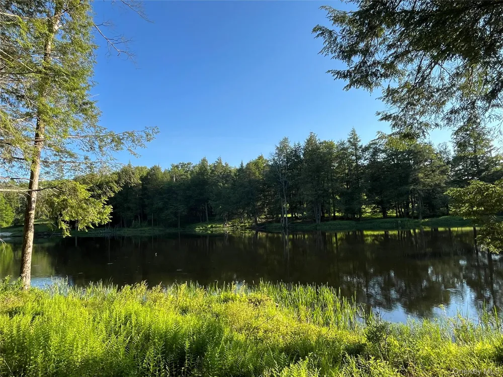 4 Cold Creek Pass Parksville, NY 12768