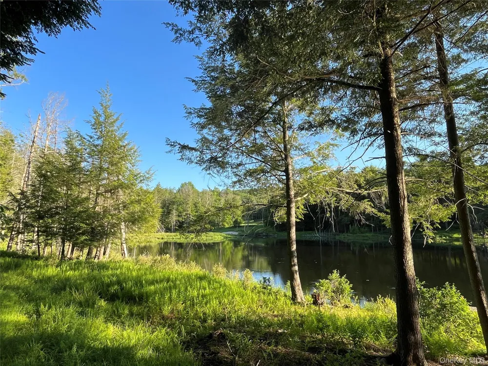 4 Cold Creek Pass Parksville, NY 12768