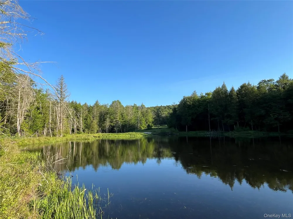 4 Cold Creek Pass Parksville, NY 12768