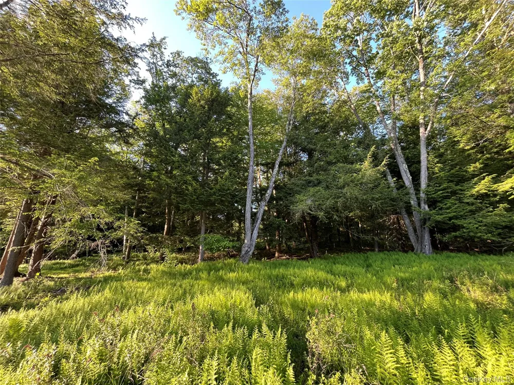 4 Cold Creek Pass Parksville, NY 12768