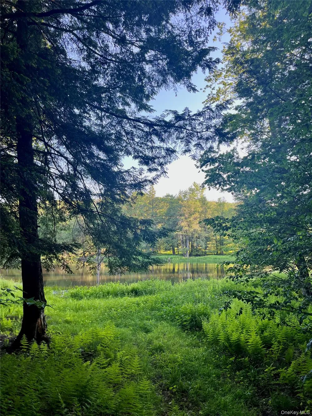 4 Cold Creek Pass Parksville, NY 12768