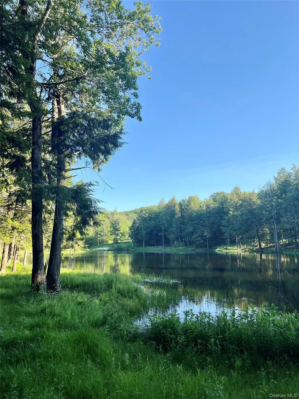 4 Cold Creek Pass Parksville, NY 12768