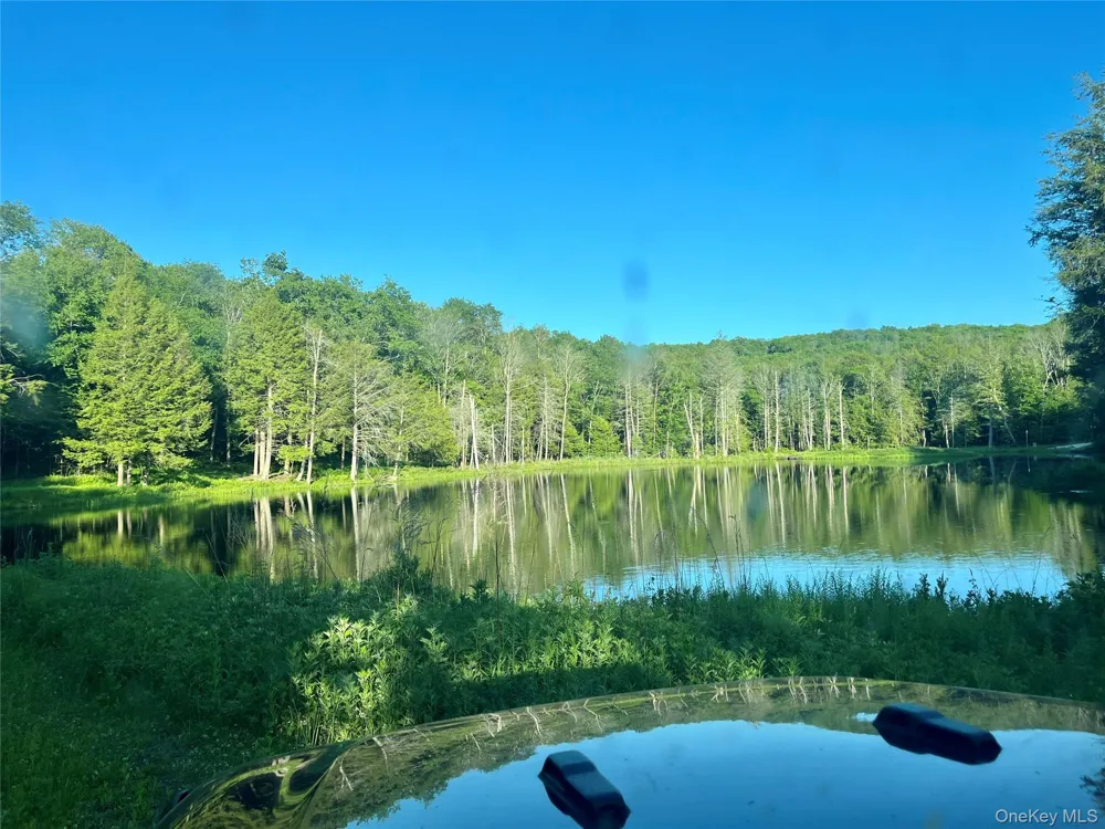 4 Cold Creek Pass Parksville, NY 12768