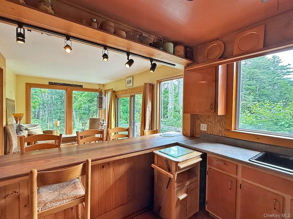 11 Nordic Drive Woodstock, NY 12498