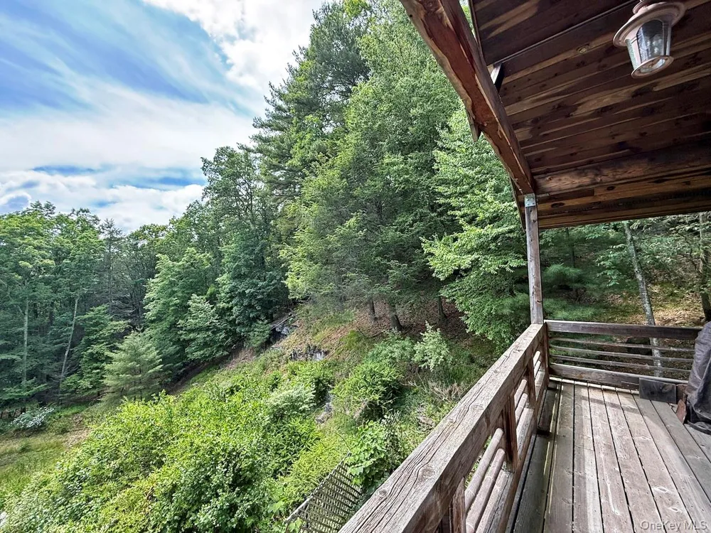 11 Nordic Drive Woodstock, NY 12498