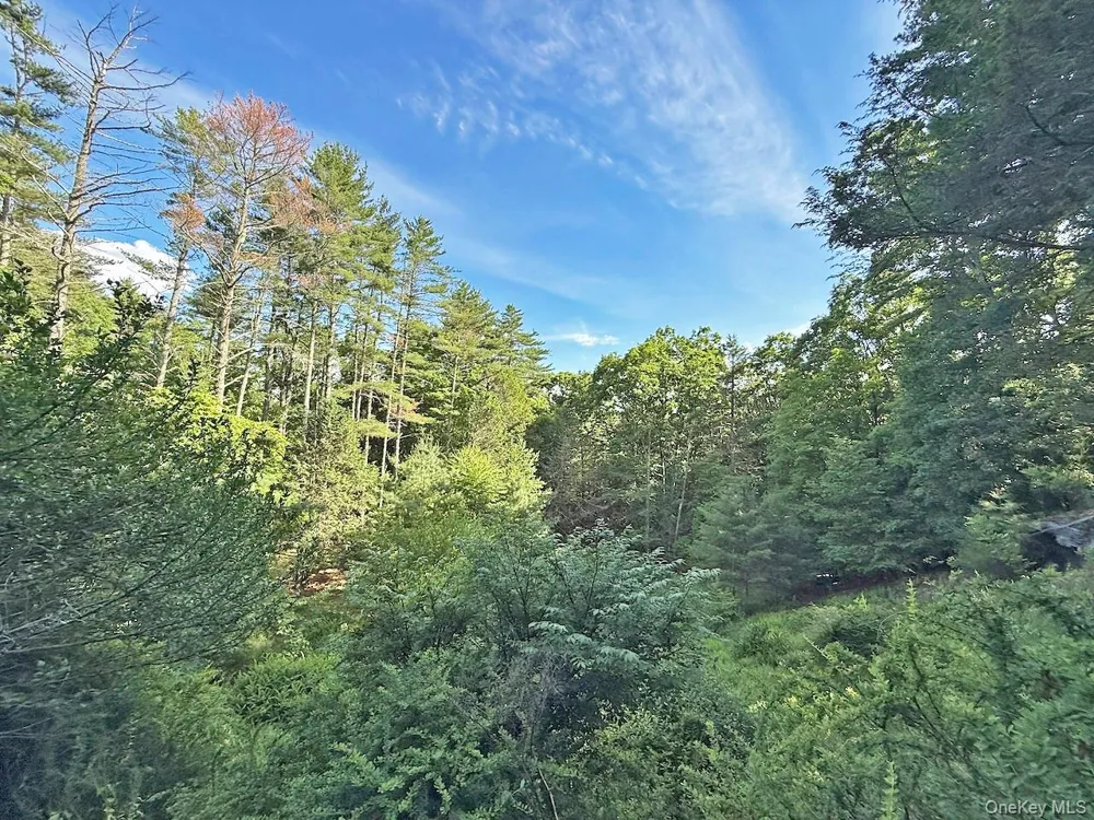 11 Nordic Drive Woodstock, NY 12498