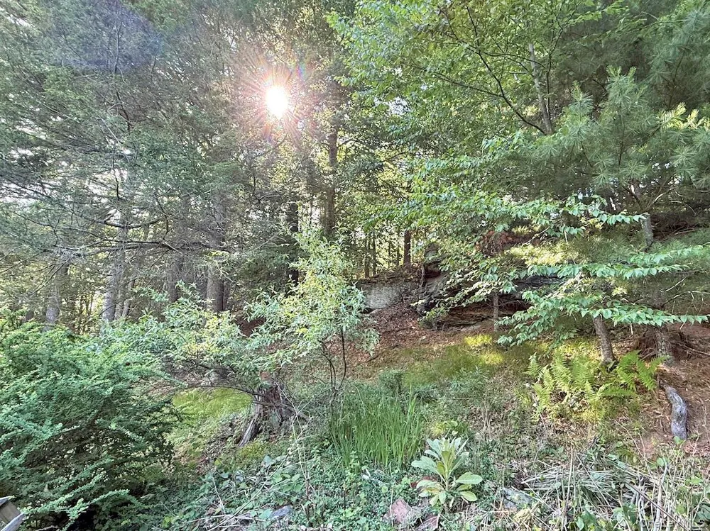 11 Nordic Drive Woodstock, NY 12498