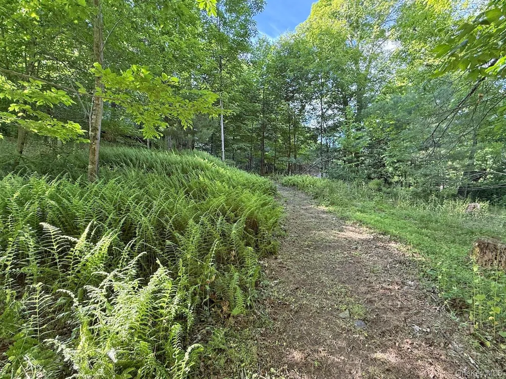 11 Nordic Drive Woodstock, NY 12498