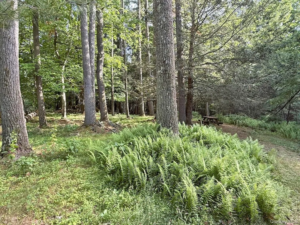 11 Nordic Drive Woodstock, NY 12498