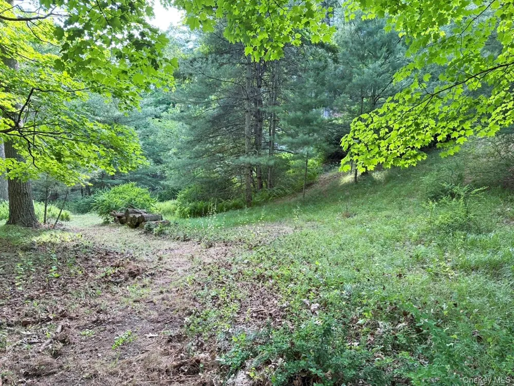 11 Nordic Drive Woodstock, NY 12498