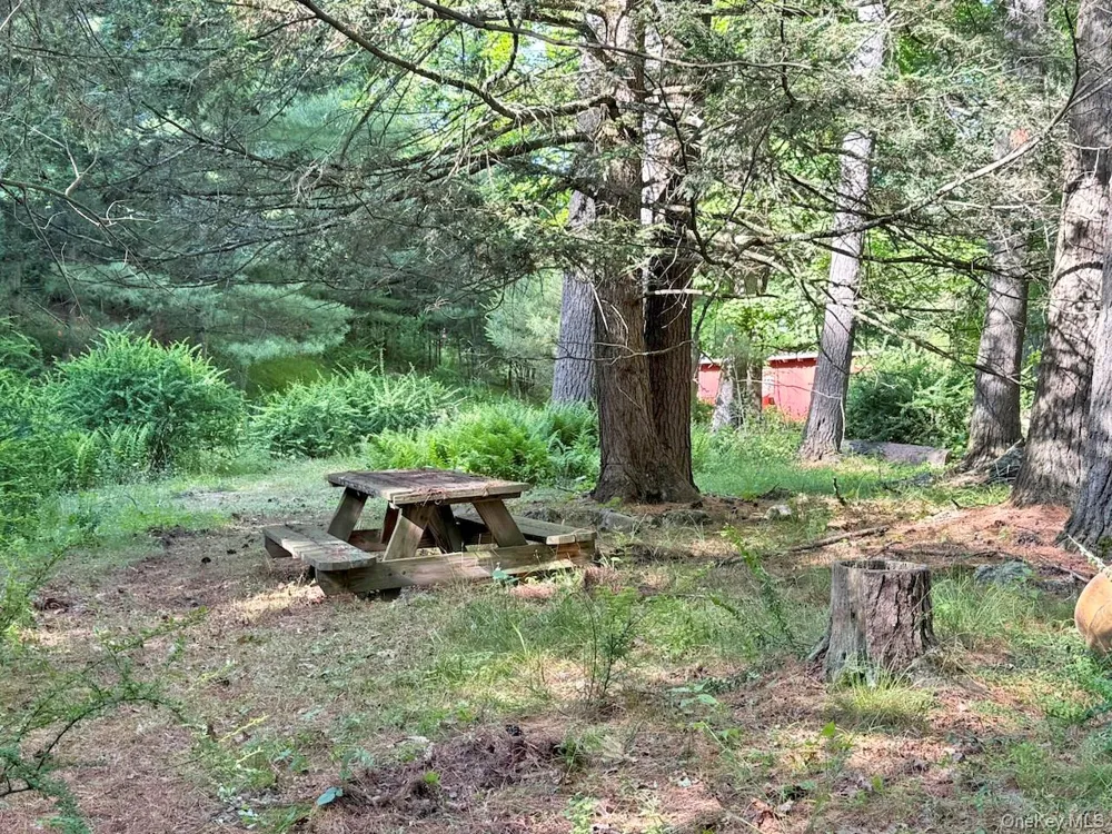 11 Nordic Drive Woodstock, NY 12498