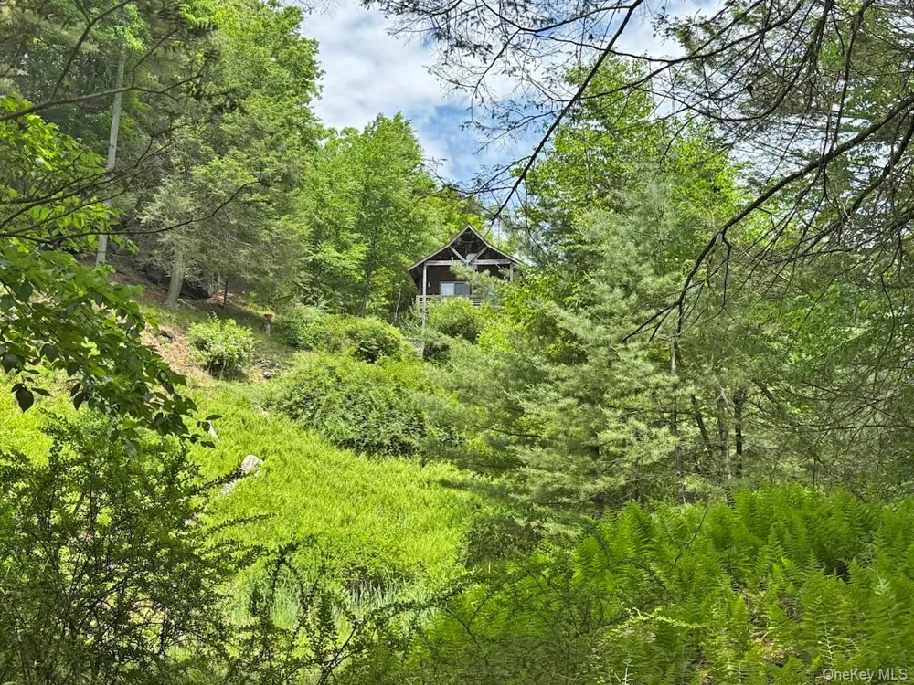 11 Nordic Drive Woodstock, NY 12498