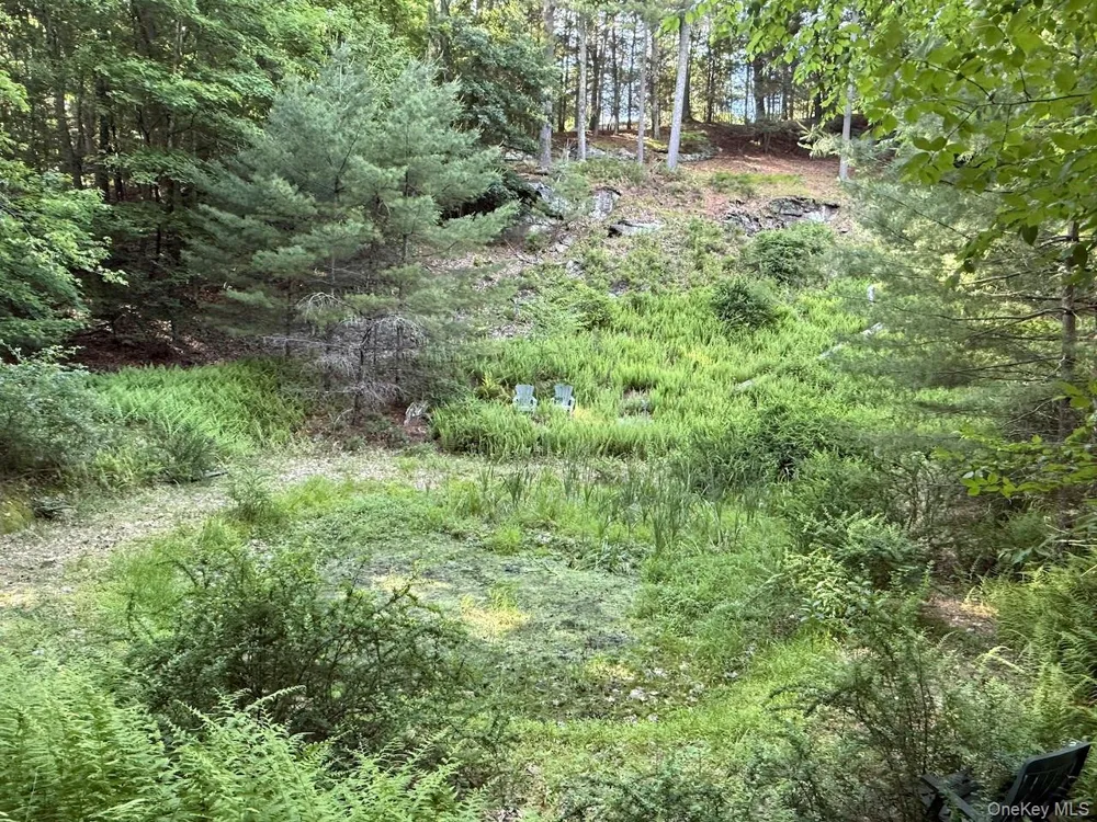 11 Nordic Drive Woodstock, NY 12498