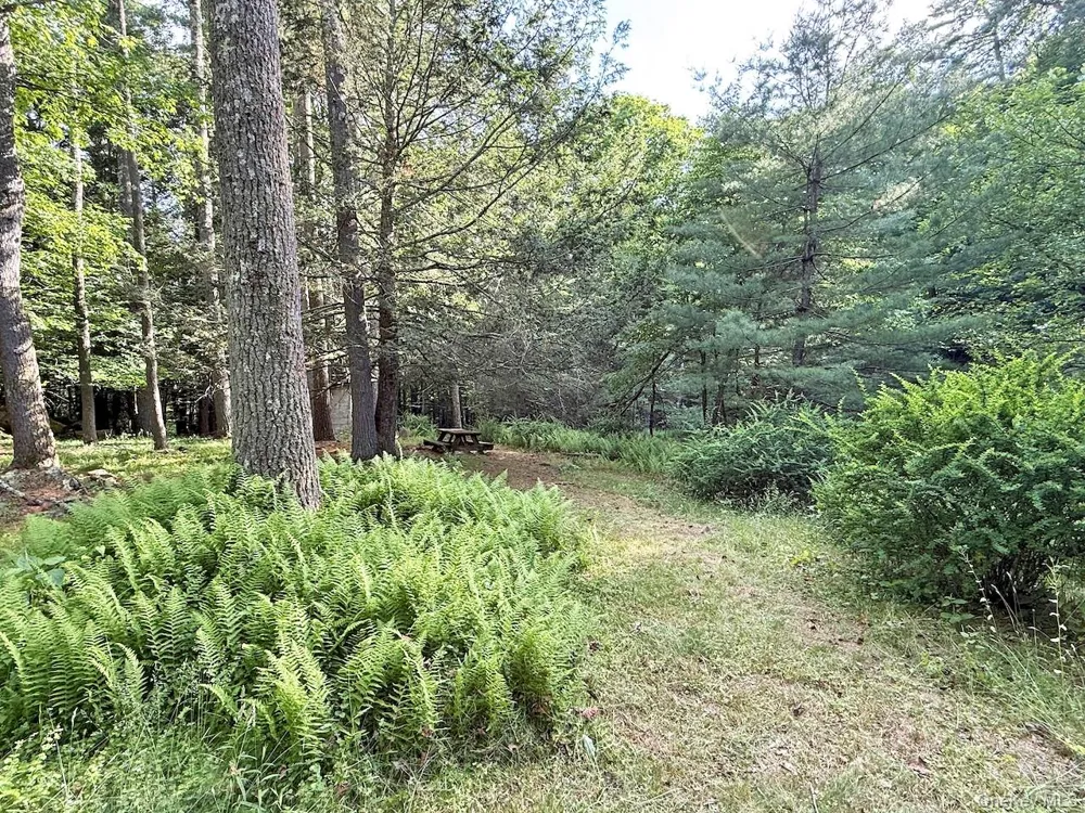 11 Nordic Drive Woodstock, NY 12498