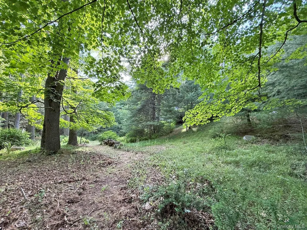 11 Nordic Drive Woodstock, NY 12498