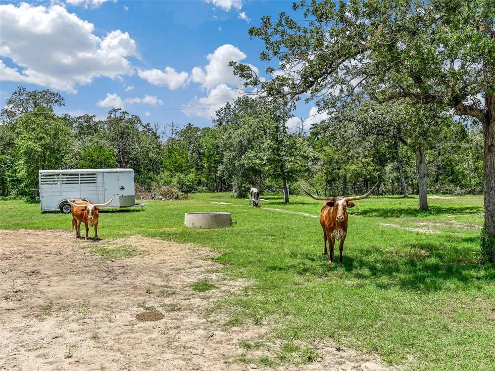 226 Stolle Lane Flatonia, TX 78941