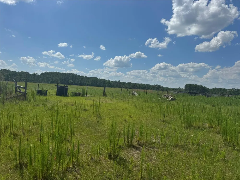 505 DEEN STILL ROAD Davenport, FL 33897