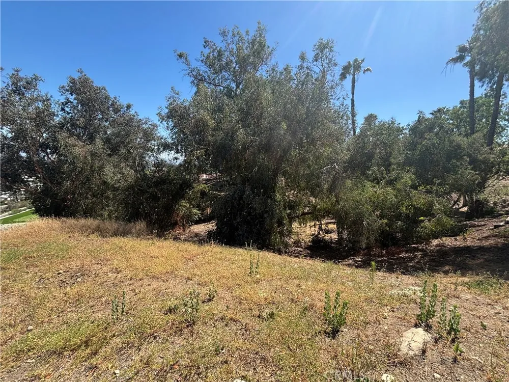 8901 Camino Predera Rancho Cucamonga, CA 91730