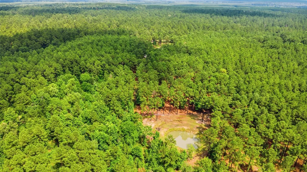 1780 Josserand Road Groveton, TX 75845