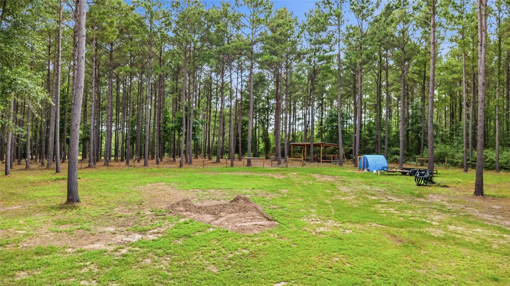 1780 Josserand Road Groveton, TX 75845