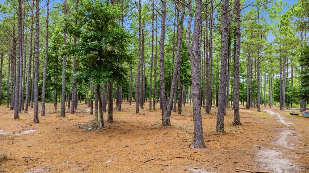 1780 Josserand Road Groveton, TX 75845