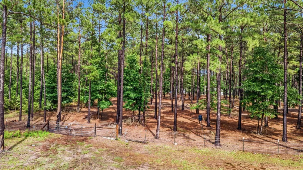 1780 Josserand Road Groveton, TX 75845