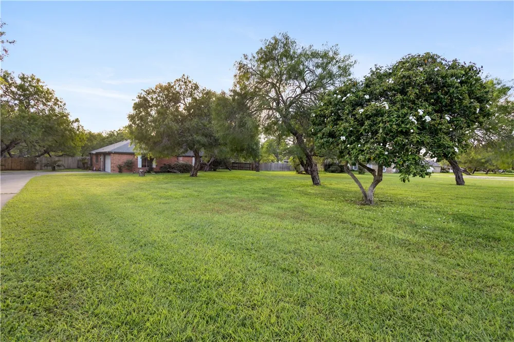 341 Brenda Kingsville, TX 78363