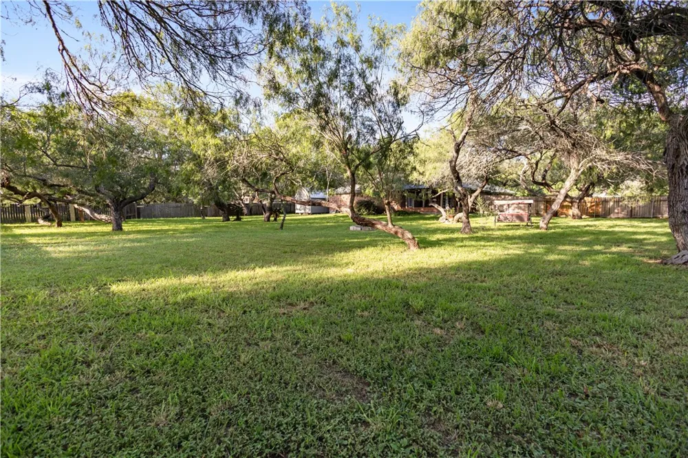 341 Brenda Kingsville, TX 78363