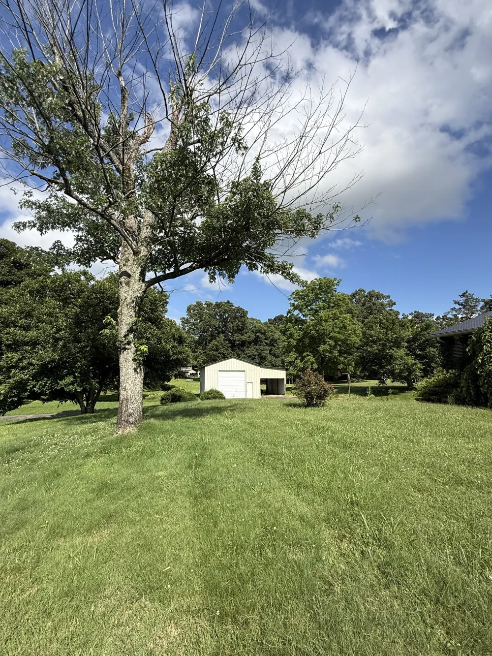 301 W College St Summertown, TN 38483