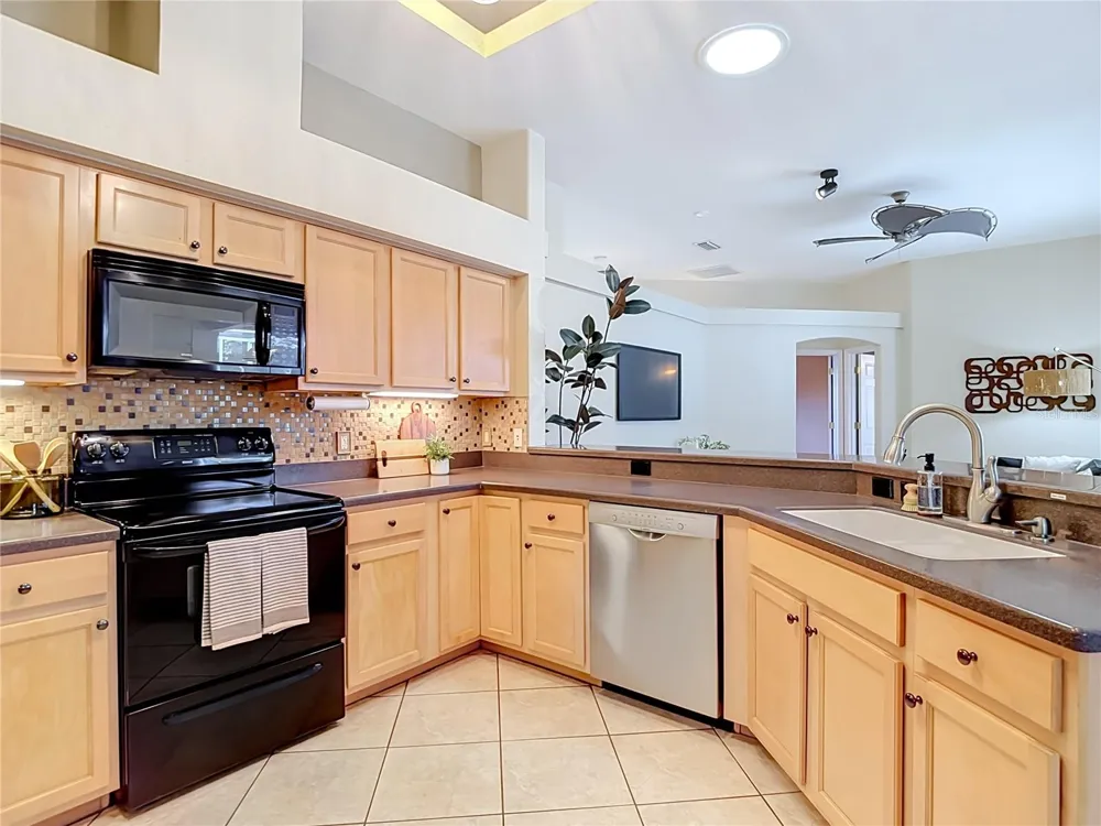 21629 SILVER BAY PLACE Land O Lakes, FL 34637