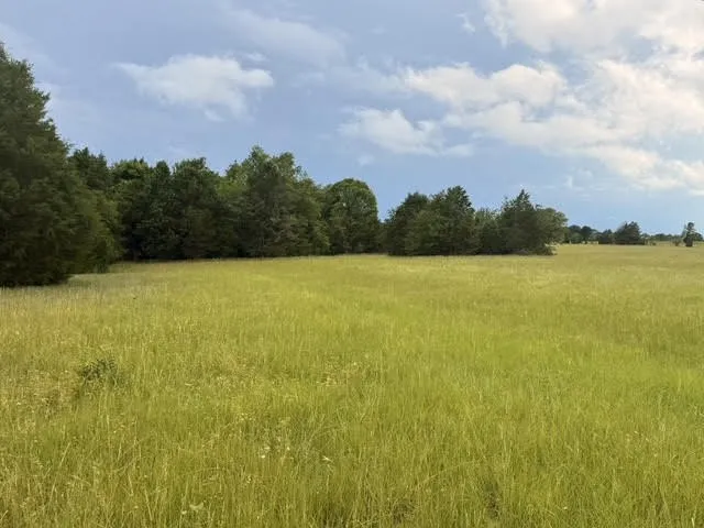 County Road 2500 Eustace, TX 75124