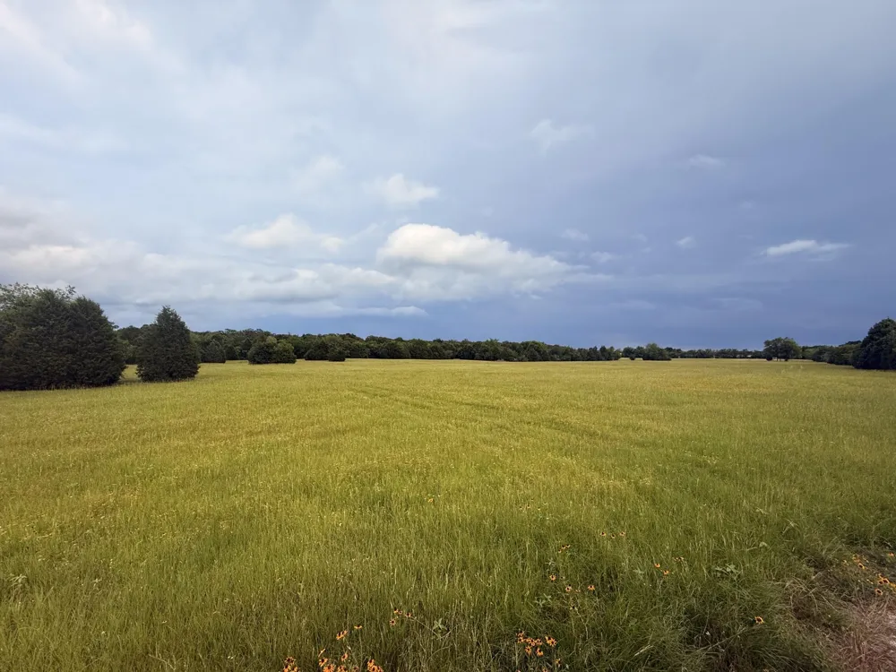 County Road 2500 Eustace, TX 75124