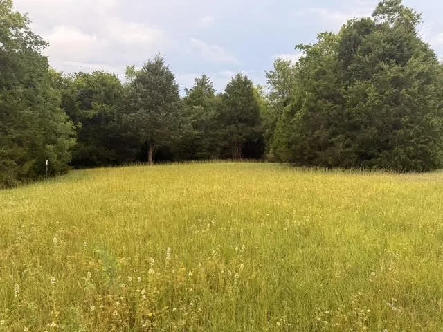 County Road 2500 Eustace, TX 75124