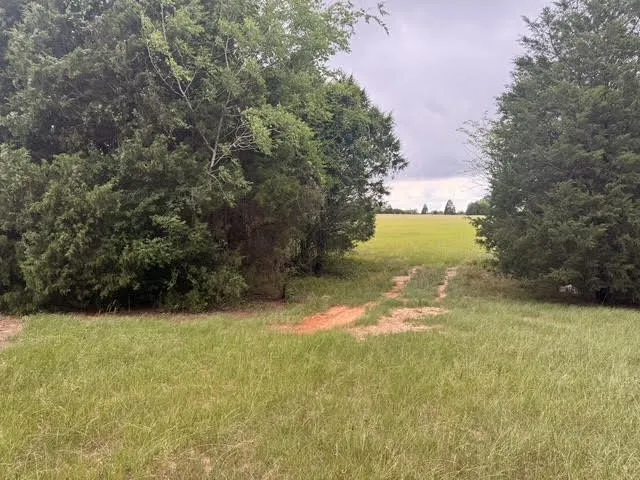 County Road 2500 Eustace, TX 75124