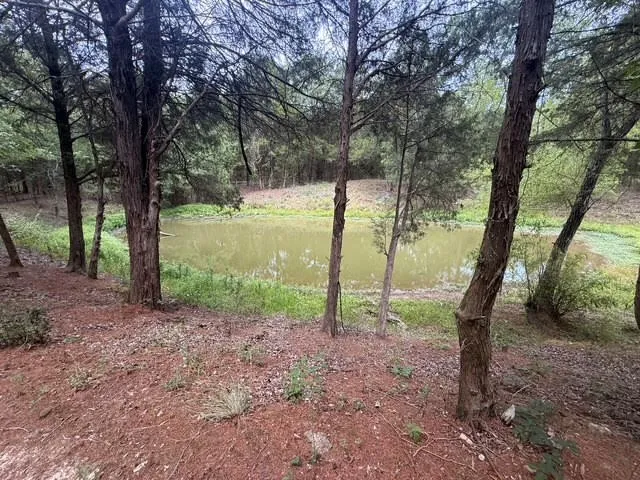 County Road 2500 Eustace, TX 75124