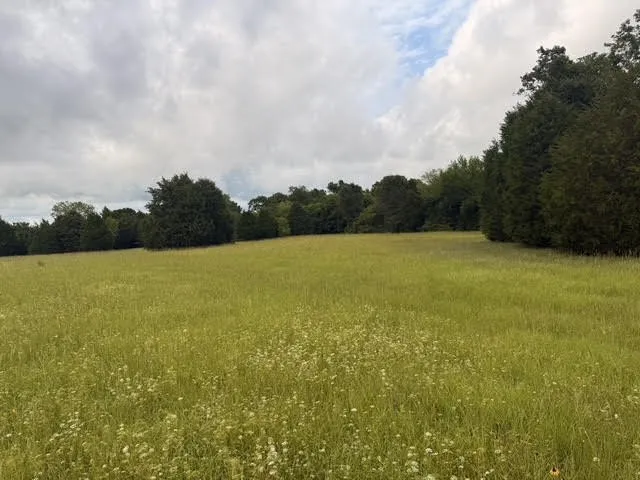County Road 2500 Eustace, TX 75124