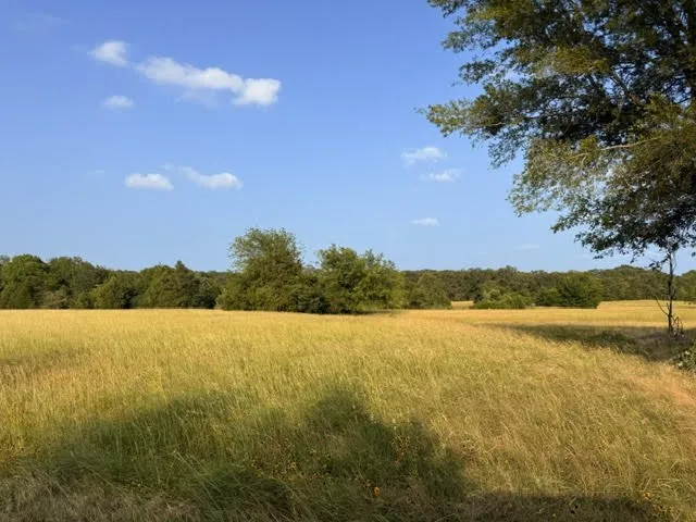 County Road 2500 Eustace, TX 75124