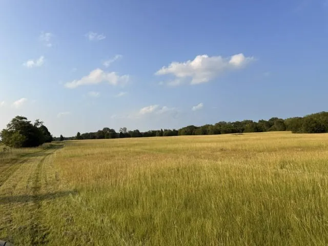 County Road 2500 Eustace, TX 75124